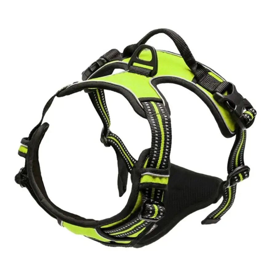 LumoFit™ Harness & Collar Set