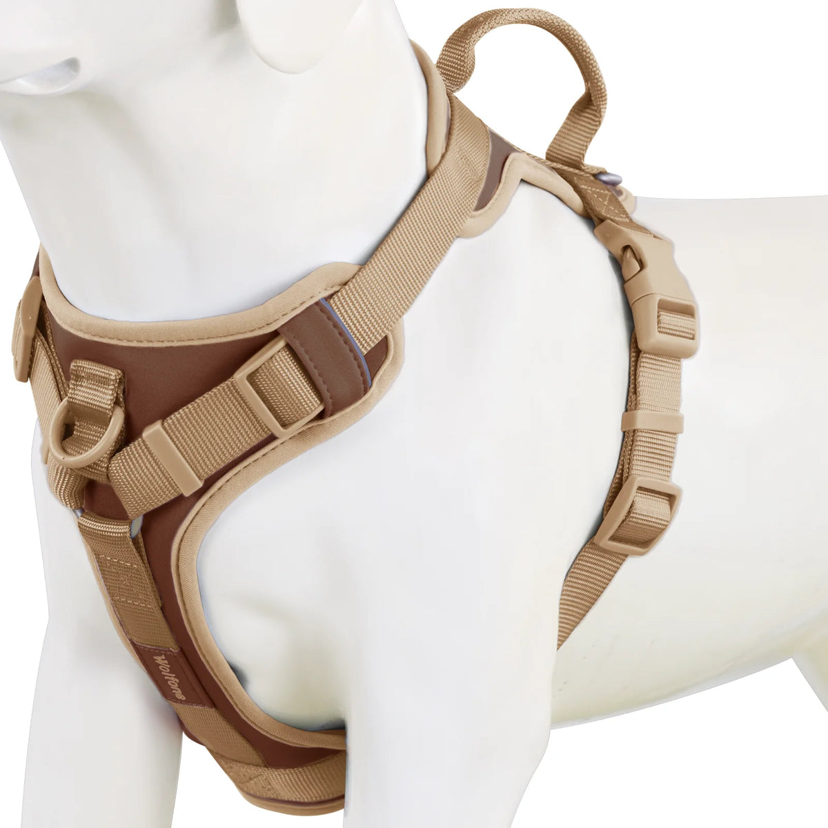 LumoFit™ Premium Harness