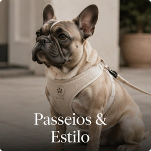 Passeios & Estilo