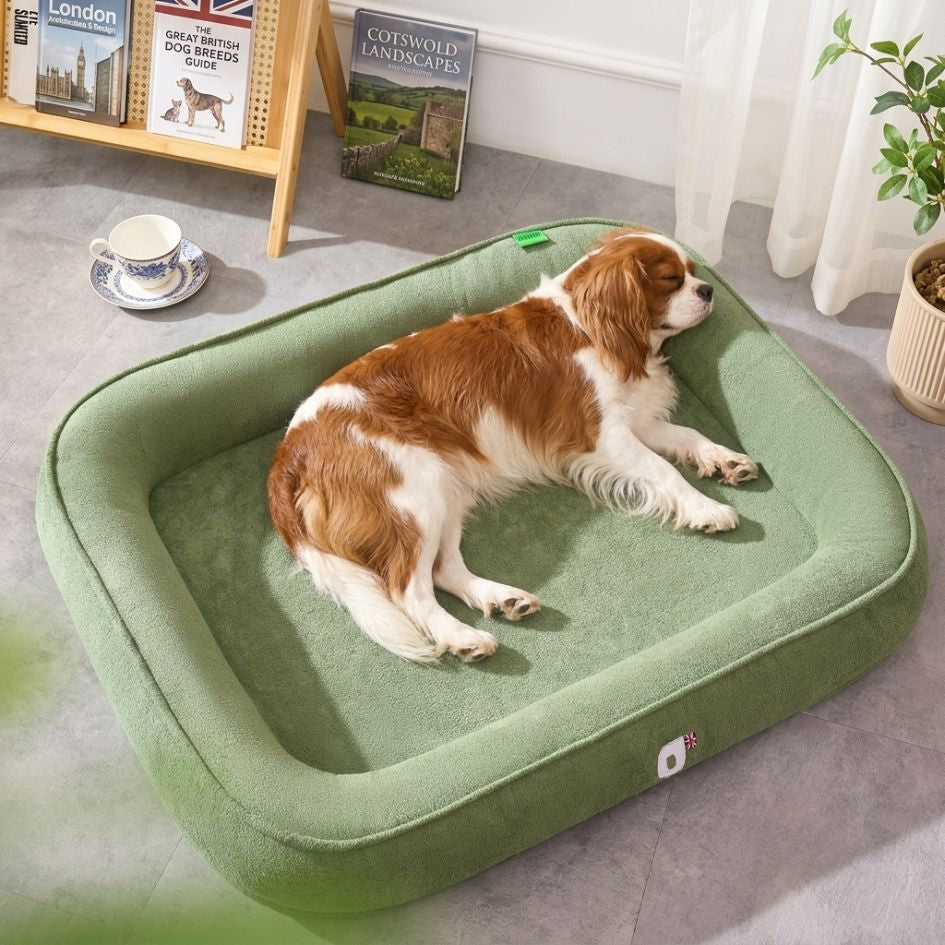 LumoRest™ Sofa Bed
