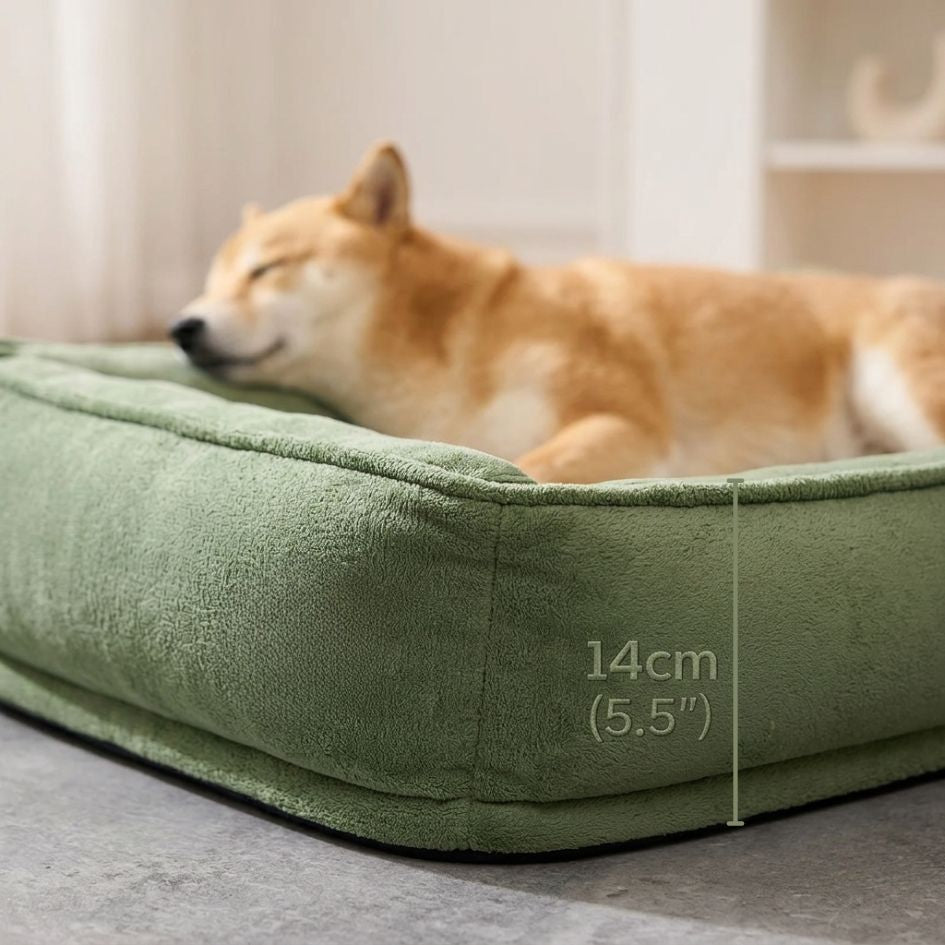LumoRest™ Sofa Bed