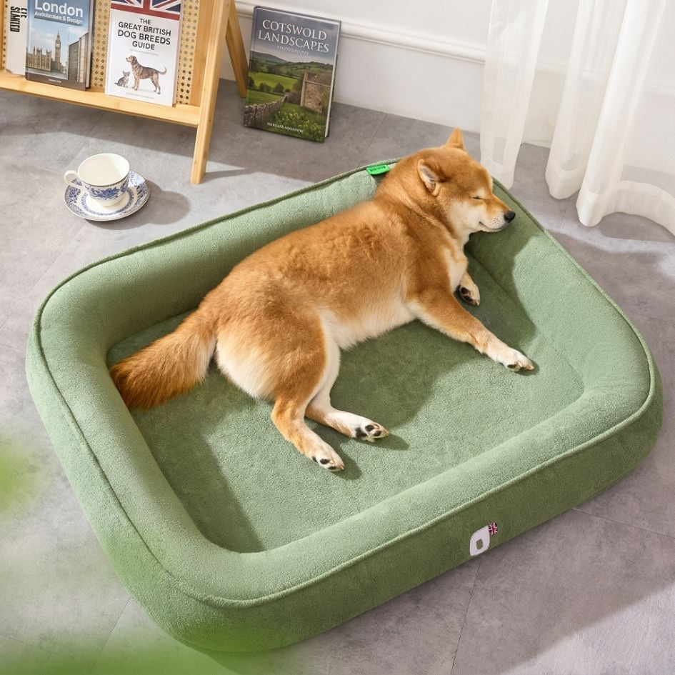 LumoRest™ Sofa Bed