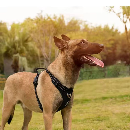 LumoFit™ Reflective Harness