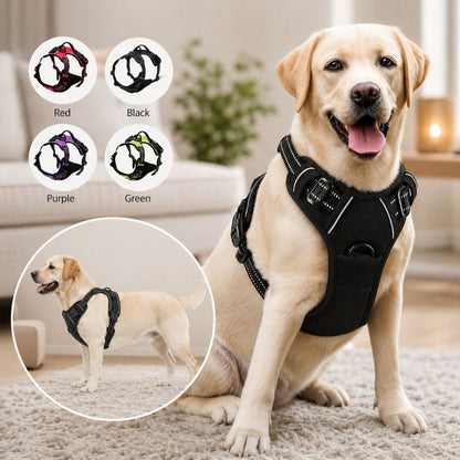 LumoFit™ Harness & Collar Set