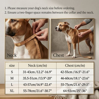 LumoFit™ Premium Harness