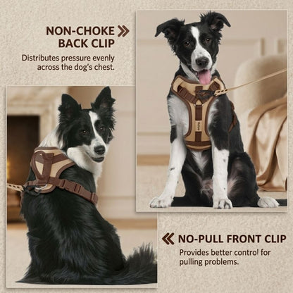 LumoFit™ Premium Harness