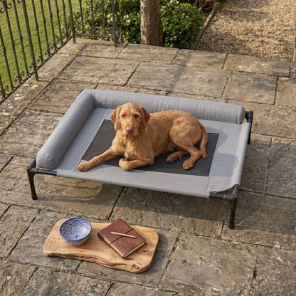 LumoRest™ Elevated Bed