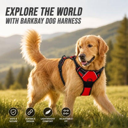 LumoFit™ Harness & Collar Set