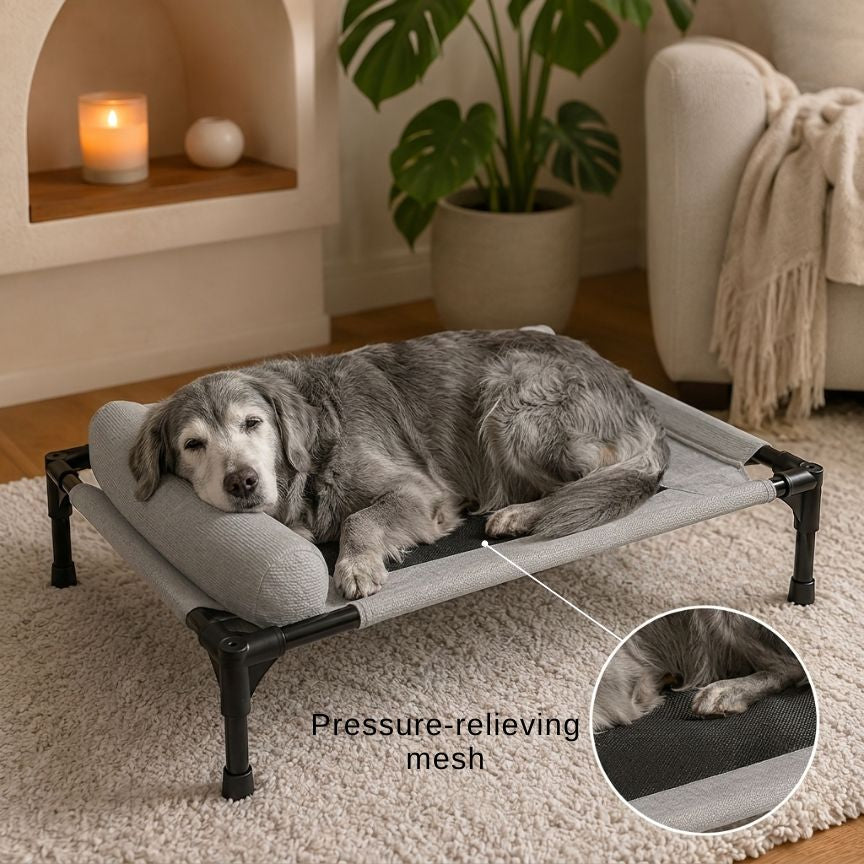 LumoRest™ Elevated Bed