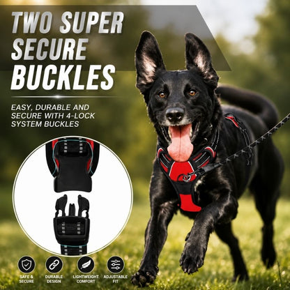 LumoFit™ Harness & Collar Set