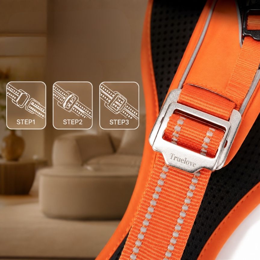 LumoFit™ Reflective Harness