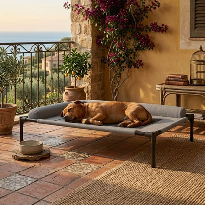 LumoRest™ Elevated Bed
