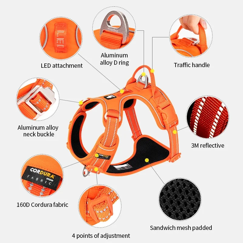 LumoFit™ Reflective Harness