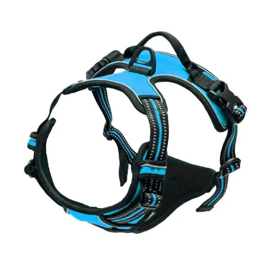 LumoFit™ Harness & Collar Set