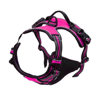 LumoFit™ Harness & Collar Set