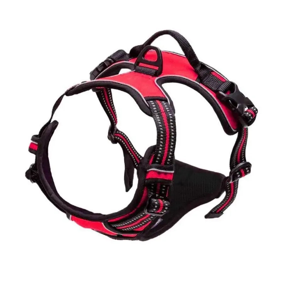 LumoFit™ Harness & Collar Set