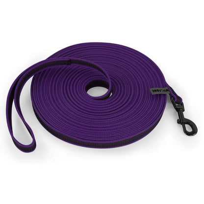 LumoLeash™ Training Lead