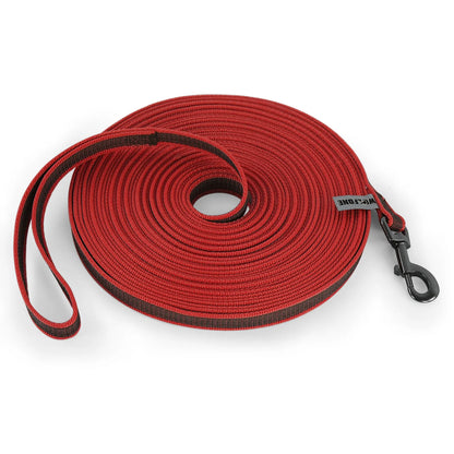 LumoLeash™ Training Lead