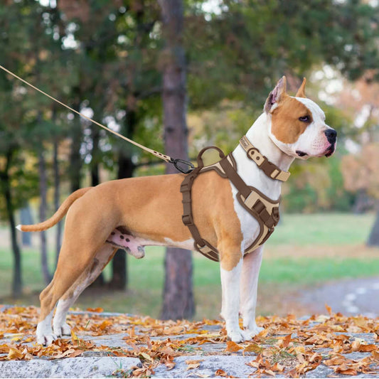 LumoFit™ Premium Harness