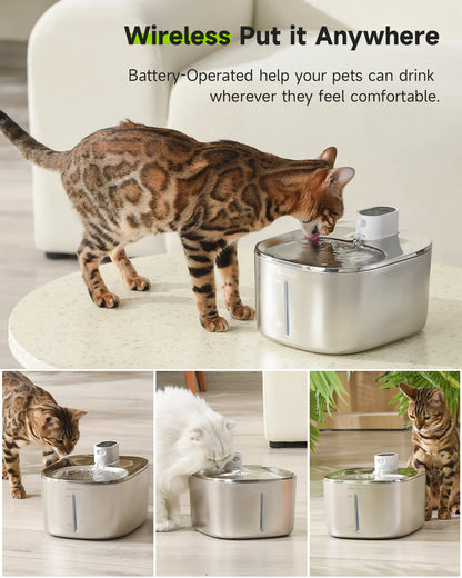 LumoFlow™ Wireless Fountain
