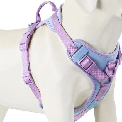 LumoFit™ Premium Harness