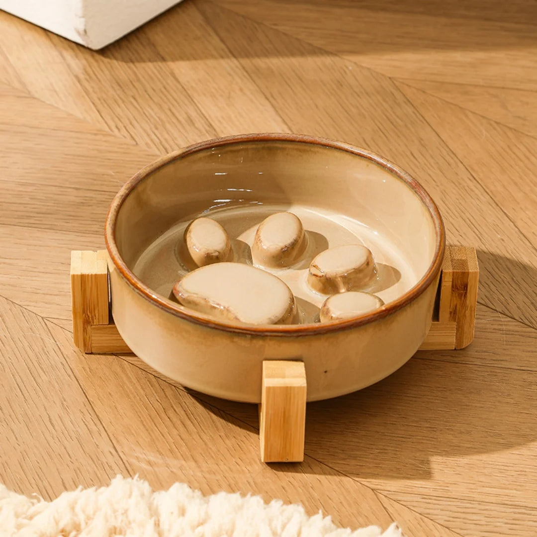 LumoBowl™ Slow Feeder Bowl