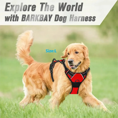 LumoFit™ Harness & Collar Set