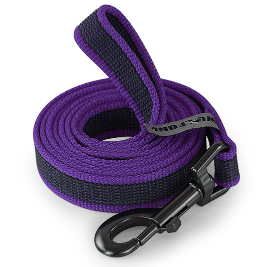 LumoLeash™ Training Lead
