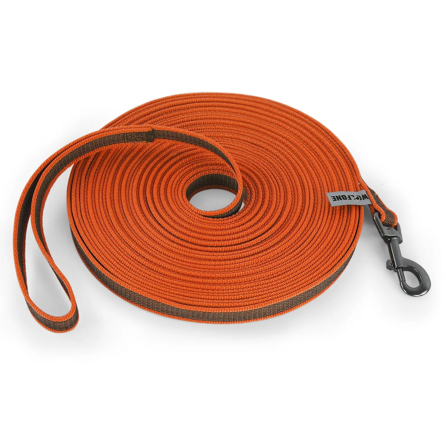 LumoLeash™ Training Lead