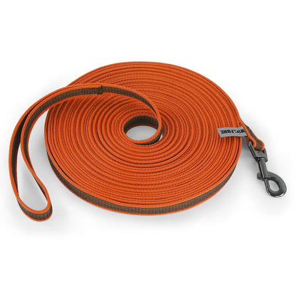 LumoLeash™ Training Lead
