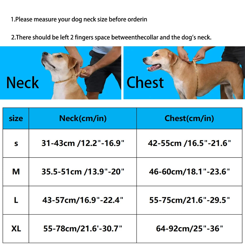 LumoFit™ Premium Harness
