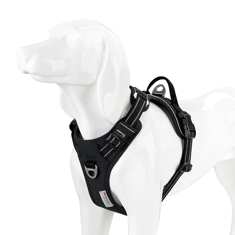 LumoFit™ Reflective Harness