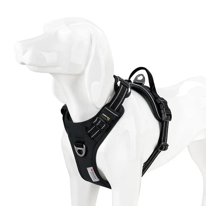 LumoFit™ Reflective Harness