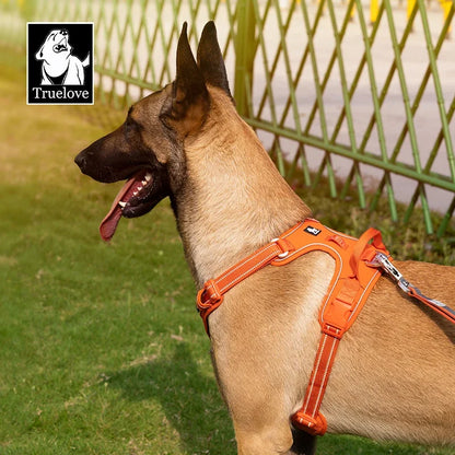 LumoFit™ Reflective Harness