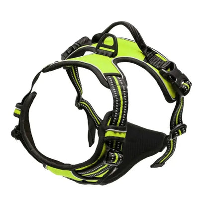 LumoFit™ Harness & Collar Set