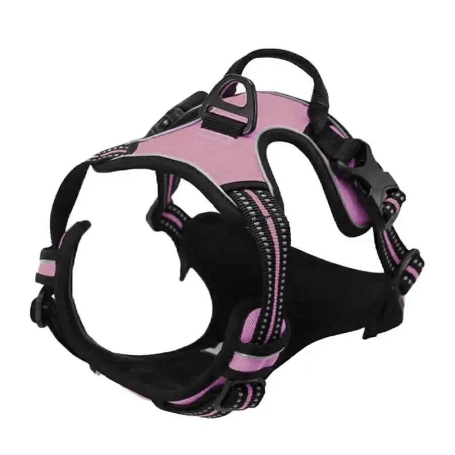 LumoFit™ Harness & Collar Set
