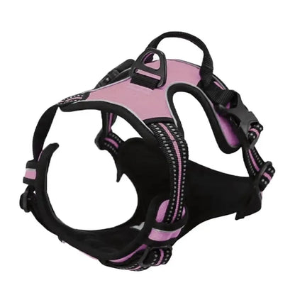LumoFit™ Harness & Collar Set
