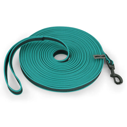 LumoLeash™ Training Lead