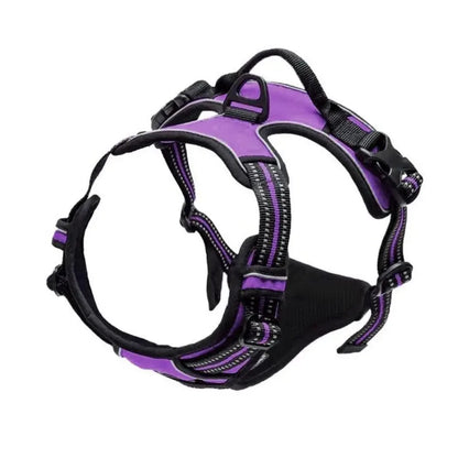 LumoFit™ Harness & Collar Set