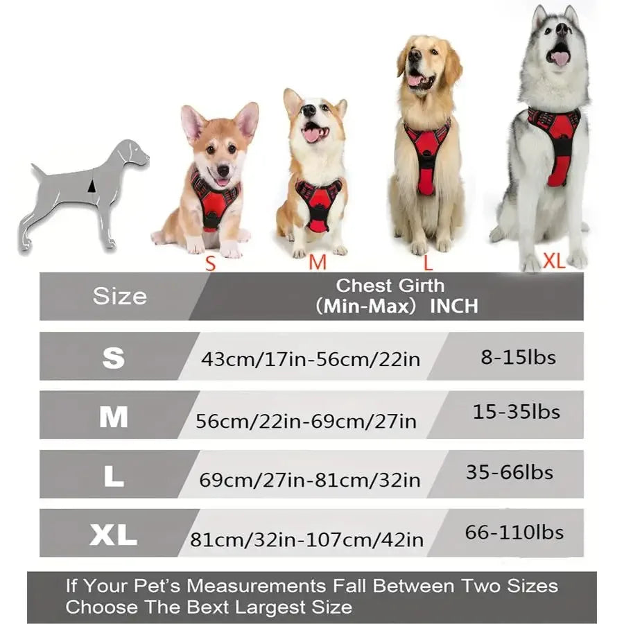 LumoFit™ Harness & Collar Set