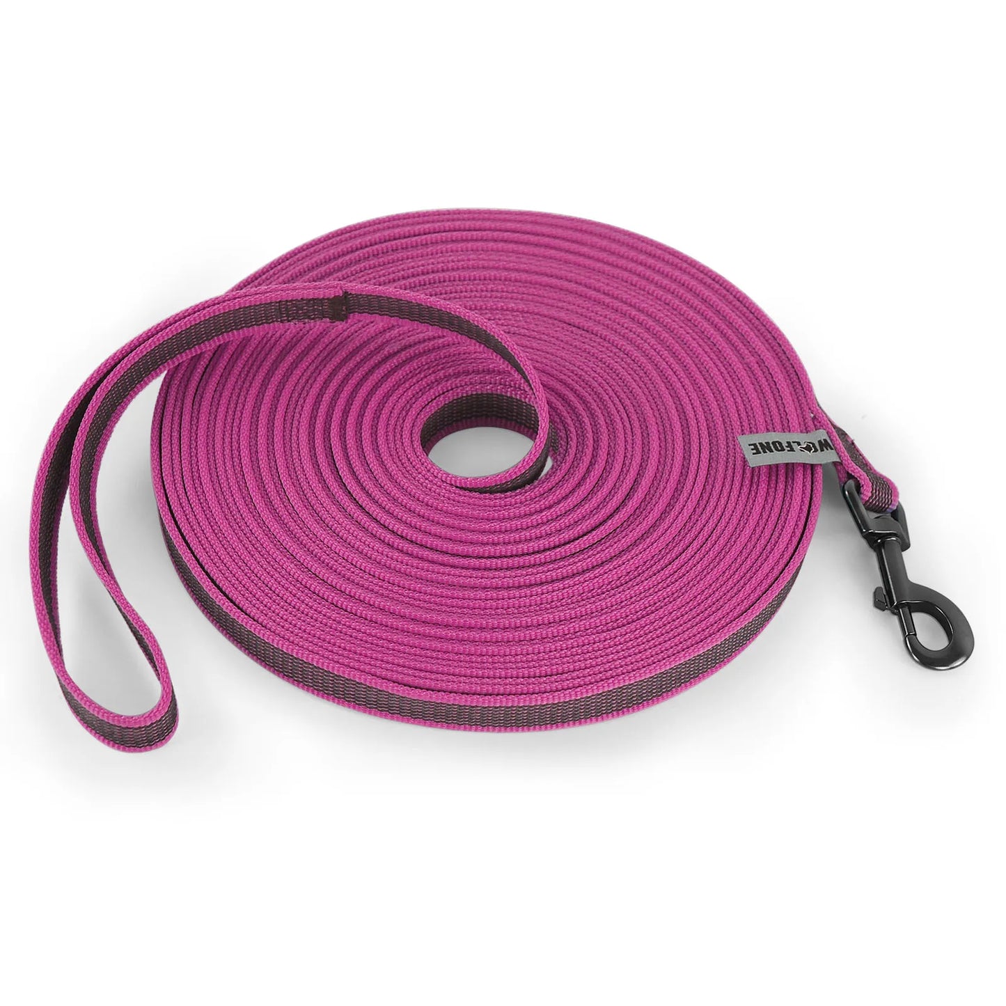 LumoLeash™ Training Lead