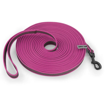 LumoLeash™ Training Lead