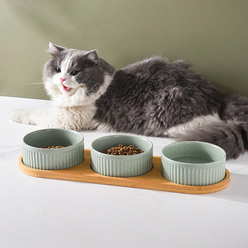 LumoBowl™ Feeding Station