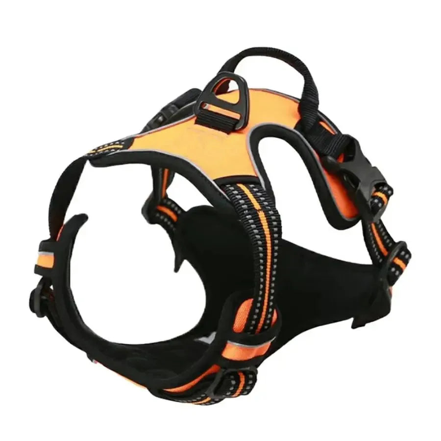 LumoFit™ Harness & Collar Set