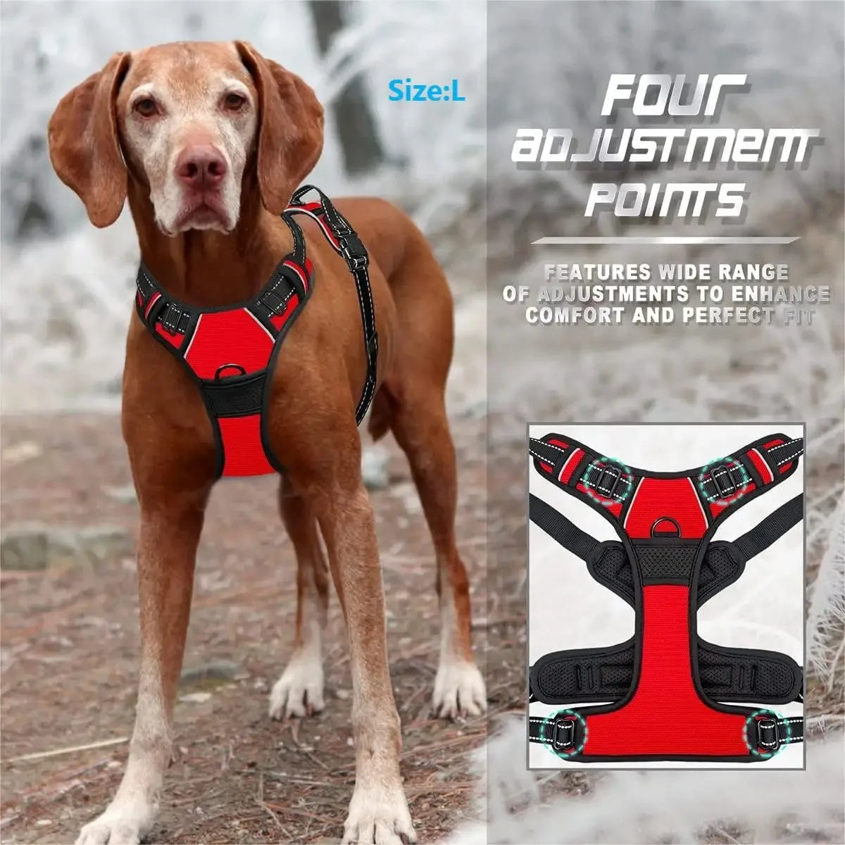 LumoFit™ Harness & Collar Set