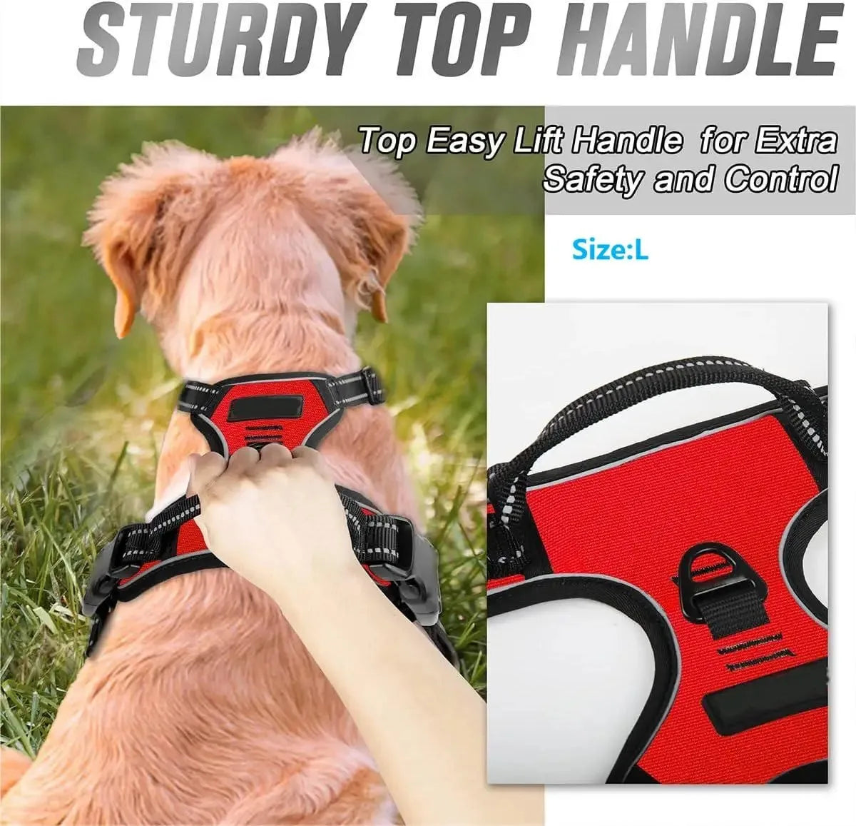 LumoFit™ Harness & Collar Set