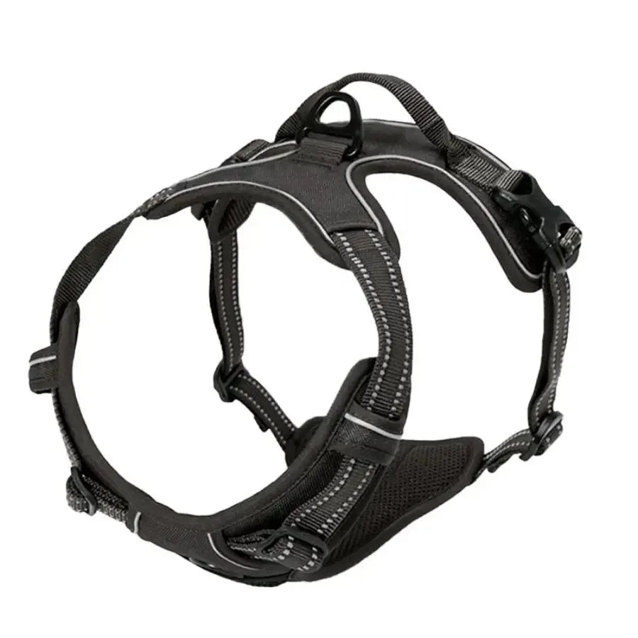 LumoFit™ Harness & Collar Set