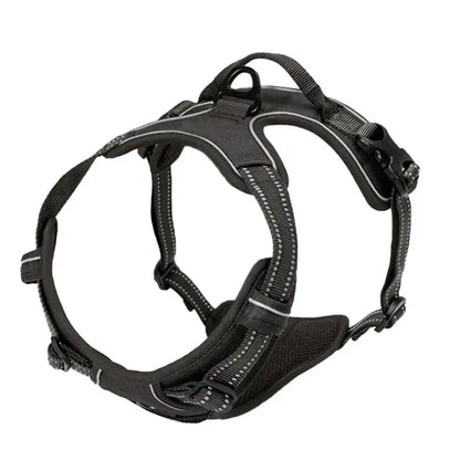LumoFit™ Harness & Collar Set